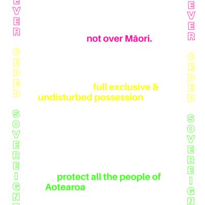 TIRITI 101 BACK Thumbnail