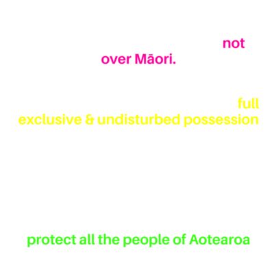 TIRITI 101 Thumbnail